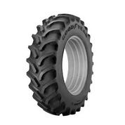 Goodyear SAMPURNA
