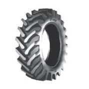 MRF FARM MUSCLE