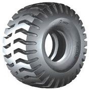 MRF MUSCLE ROK E4
